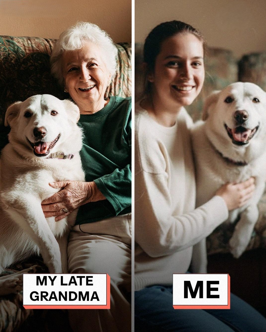 My Grandma Left $100,000 to My Cousin—All I Got Was Her Old Dog - FS ...